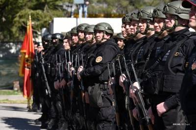 В результате протестов в Черногории 30 человек задержаны, 5 полицейских ранены