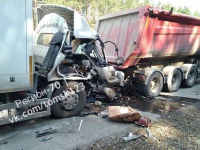 Два грузовика столкнулись под Томском. Погиб человек