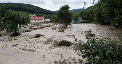 Вырубка лесов или сильные осадки: что привело к масштабным наводнениям на западе Украины