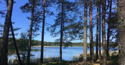 В среду в водоемах Латвии обнаружены тела троих утонувших