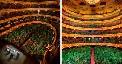 Барселонский оперный театр открылся после карантина концертом для 2292 растений