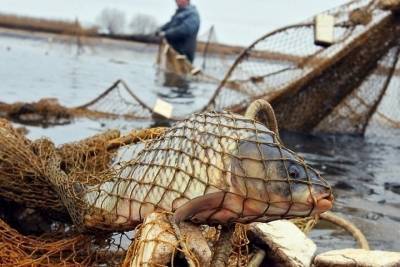 В Ивановской области задержан браконьер, который причинил ущерб водным ресурсам на 15 тысяч рублей