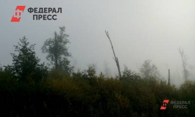 В Томской области пожар охватил 104 гектара леса