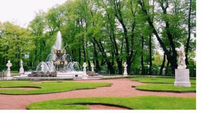 Петербуржцев перестали штрафовать за прогулки в парках