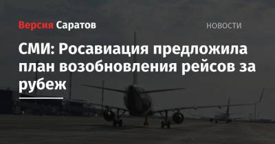 СМИ: Росавиация предложила план возобновления рейсов за рубеж