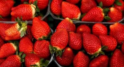 На украинских рынках дешевеют ягоды: сколько стоит клубника
