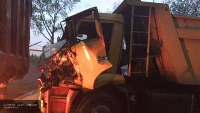 Жертвой ДТП с двумя грузовиками под Томском стал один человек