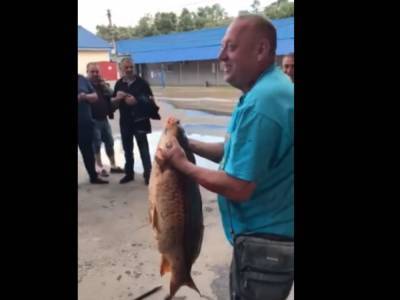 Мужчина голыми руками поймал крупную рыбу на затопленном рынке в Черновцах