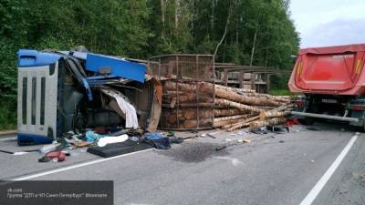 Один человек погиб при столкновении двух грузовиков под Томском