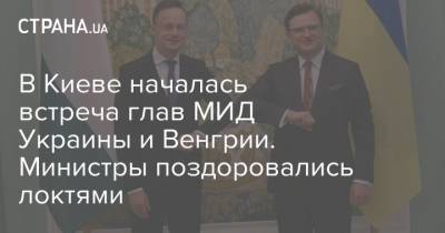 В Киеве началась встреча глав МИД Украины и Венгрии. Министры поздоровались локтями