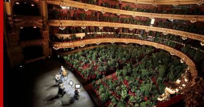 В Барселоне оперный театр открыл сезон концертом для растений
