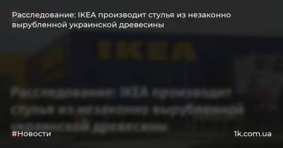 Расследование: IKEA производит стулья из незаконно вырубленной украинской древесины