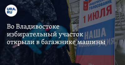 Во Владивостоке избирательный участок открыли в багажнике машины. ВИДЕО