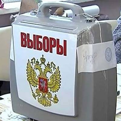 Голосование по поправкам в конституцию в Москве проходит в штатном режиме