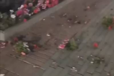 Вандалы уничтожают клумбы на Ставрополье