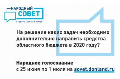 Голосование «Народный совет»: жители Дона могут выбрать, как регион потратит 500 млн рублей