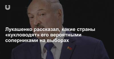 Лукашенко рассказал, какие страны «кукловодят» его вероятными соперниками на выборах