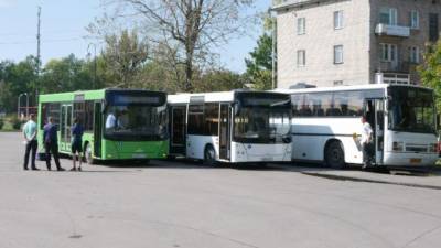 В Волхове изменится расписание автобусов из-за голосования по поправкам в Конституцию
