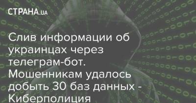 Слив информации об украинцах через телеграм-бот. Мошенникам удалось добыть 30 баз данных - Киберполиция