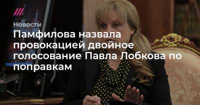 Памфилова назвала провокацией двойное голосование Павла Лобкова по поправкам