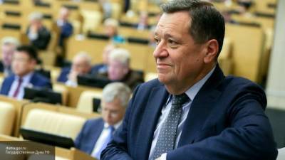 Депутат ГД рассказал о невозможности двойного голосования по поправкам к Конституции РФ