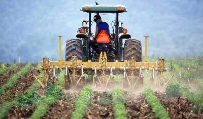 Немецкий концерн Bayer выплатит фермерам США $10 млрд за концерогенный гербицид