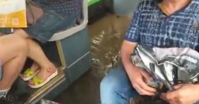 В Николаеве пассажиры ехали в автобусе по колено в воде: появилось видео