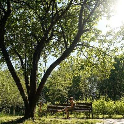 Три "сада здоровья" появились на природных территориях Москвы