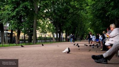 Петербуржцам сменили штрафы за прогулки в парках на предупреждения