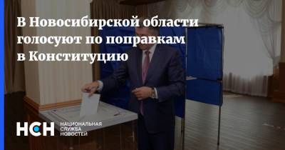 В Новосибирской области голосуют по поправкам в Конституцию