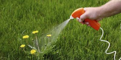 Производителю популярного пестицида Roundup придется выплатить $11 млрд за онкологию у фермеров