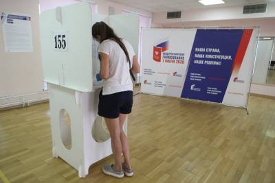 Порядка 260 тысяч москвичей поучаствовали в электронном голосовании по поправкам