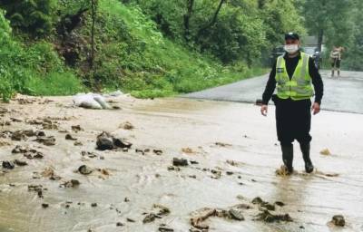 Венгрия готова помочь Украине отстроить дороги в Карпатах после паводка