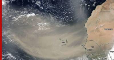 Угрожающее США облако пыли признали крупнейшим за 50 лет