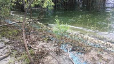 Химические вещества обнаружили у реки под Тобольском