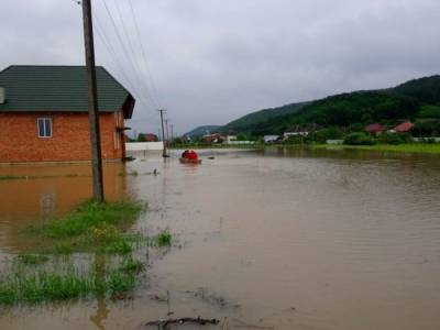 Потоп на Западной Украине: в Карпатах нужно запретить вырубку леса – эколог