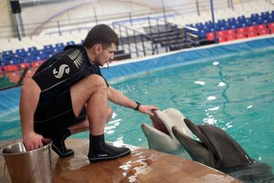 Зоопарки и дельфинарии откроют в Краснодарском крае 27 июня