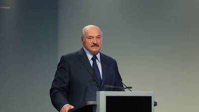 Лукашенко намерен обсудить с Путиным вмешательство извне в выборы президента Белоруссии