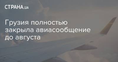 Грузия полностью закрыла авиасообщение до августа - strana.ua - Грузия - Турция