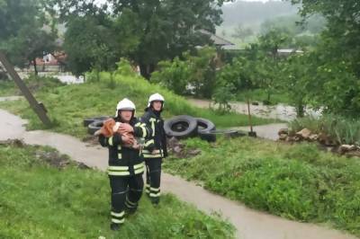 В Одесской области бушует непогода: 20 частных домов затоплены