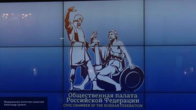 Общественная палата РФ выявила 34 нарушения в ходе голосования по поправкам в Конституцию