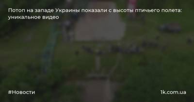 Потоп на западе Украины показали с высоты птичьего полета: уникальное видео