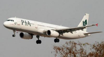 Почти у трети пилотов в Пакистане поддельные лицензии и нет опыта полетов - министр
