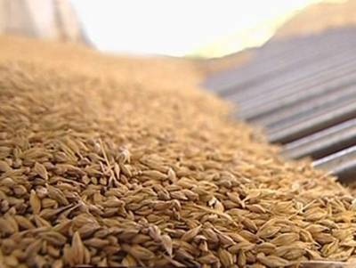 Украина стала второй в мире страной по валютной выручке от экспорта зерна