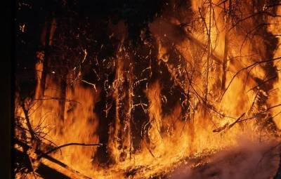 Режим ЧС ввели в Нижнеколымском районе Якутии из-за лесных пожаров