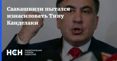 Саакашвили пытался изнасиловать Тину Канделаки