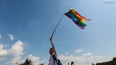 Станоевич: Гей-пары из Западной Европы массово вывозят сербских детей