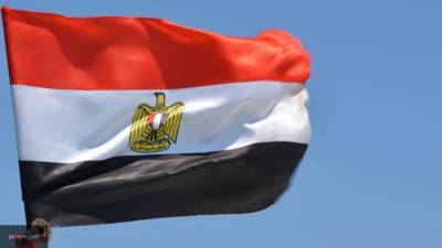Глава МИД Египта: решение ЛАГ подтвердило единство арабских стран в ливийском вопросе