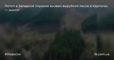 Потоп в Западной Украине вызван вырубкой лесов в Карпатах, — эколог