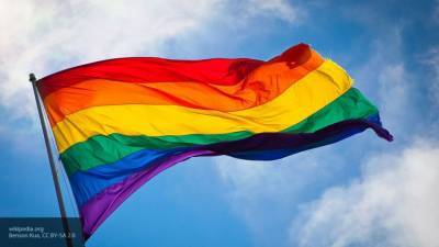 СМИ расценили флаг ЛГБТ на посольстве США, как попытку вмешательства в голосование